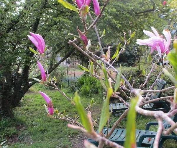 Le Presbytere, Cotentin, Val De Saire, Fermanville, Proximite Immediate Et Foret