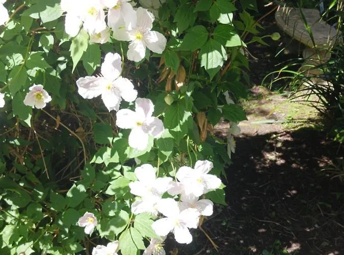 Le Presbytere, Cotentin, Val De Saire, Fermanville, Proximite Immediate Et Foret * Fermanville